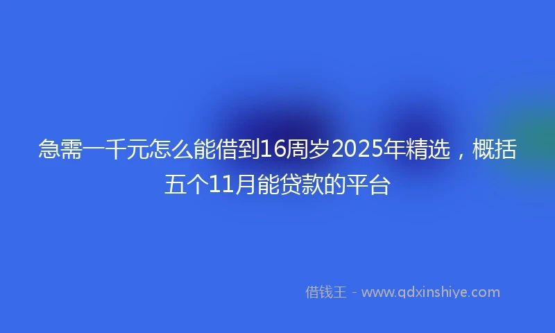 急需一千元怎么能借到16周岁2025年精选，概括五个11月能贷款的平台