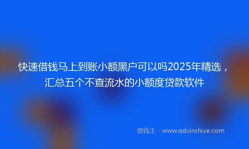快速借钱马上到账小额黑户可以吗2025年精选，汇总五个不查流水的小额度贷款软件