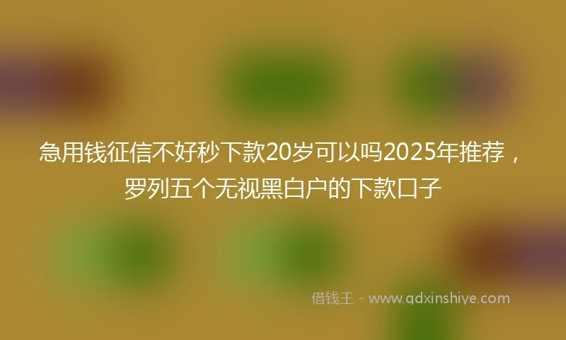 急用钱征信不好秒下款20岁可以吗2025年推荐，罗列五个无视黑白户的下款口子