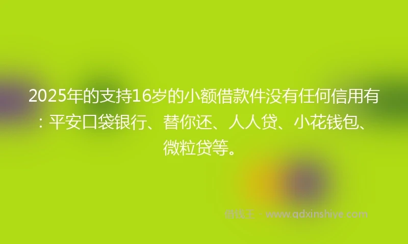 2025年的支持16岁的小额借款件没有任何信用有：平安口袋银行、替你还、人人贷、小花钱包、微粒贷等。