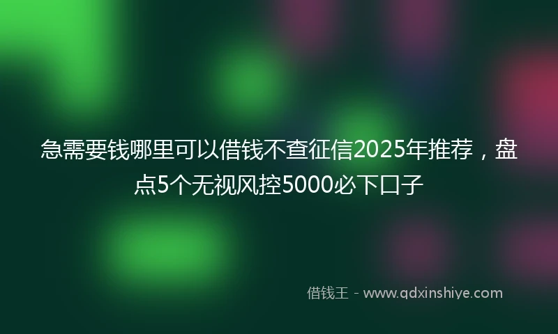 急需要钱哪里可以借钱不查征信2025年推荐，盘点5个无视风控5000必下口子