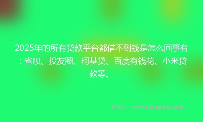 2025年的所有贷款平台都借不到钱是怎么回事有：省呗、投友圈、柯基贷、百度有钱花、小米贷款等。