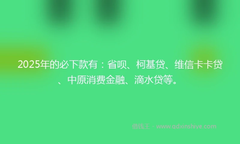 2025年的必下款有：省呗、柯基贷、维信卡卡贷、中原消费金融、滴水贷等。
