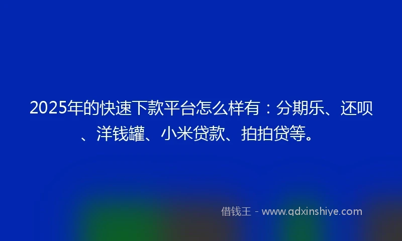 2025年的快速下款平台怎么样有：分期乐、还呗、洋钱罐、小米贷款、拍拍贷等。