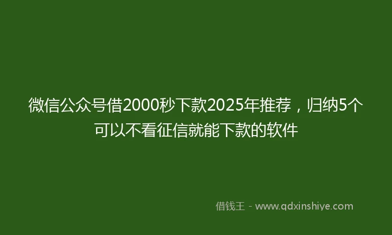 微信公众号借2000秒下款2025年推荐,归纳5个可以不看征信就能下款的软件