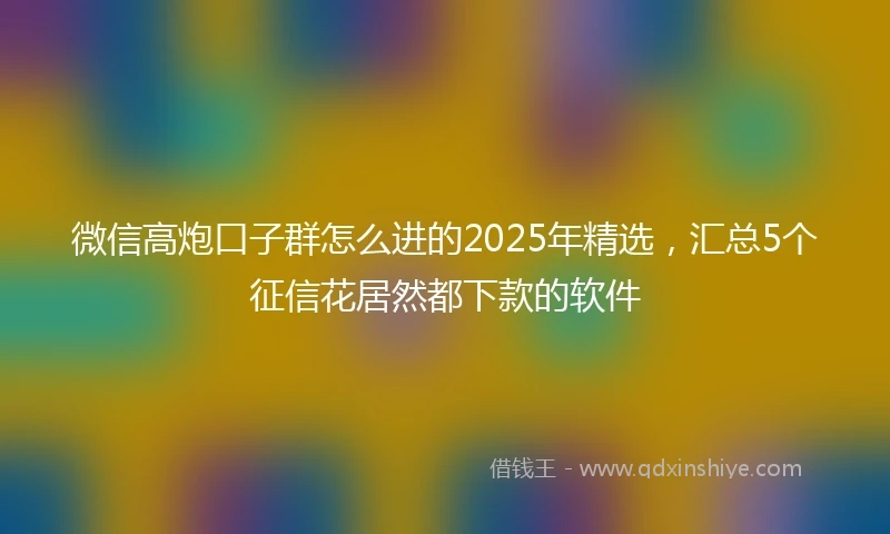 微信高炮口子群怎么进的2025年精选，汇总5个征信花居然都下款的软件
