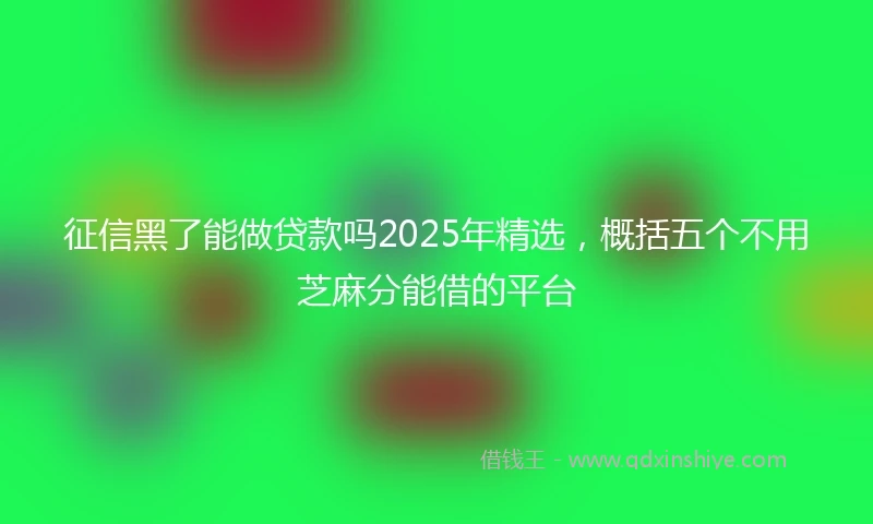 征信黑了能做贷款吗2025年精选，概括五个不用芝麻分能借的平台