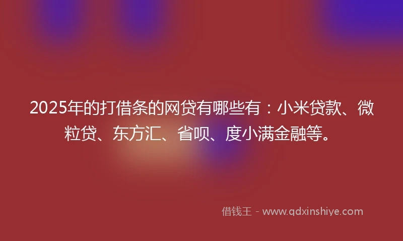 2025年的打借条的网贷有哪些有：小米贷款、微粒贷、东方汇、省呗、度小满金融等。
