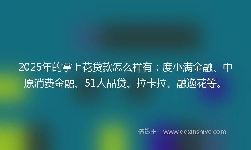 2025年的掌上花贷款怎么样有：度小满金融、中原消费金融、51人品贷、拉卡拉、融逸花等。