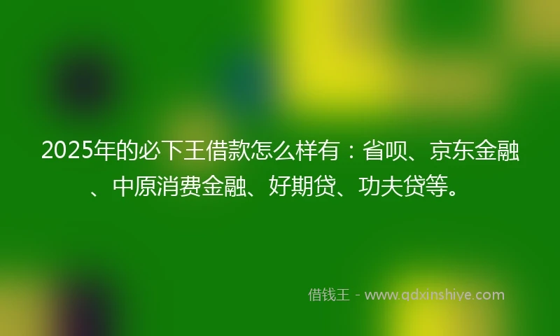 2025年的必下王借款怎么样有：省呗、京东金融、中原消费金融、好期贷、功夫贷等。