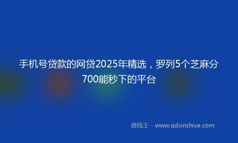 手机号贷款的网贷2025年精选，罗列5个芝麻分700能秒下的平台