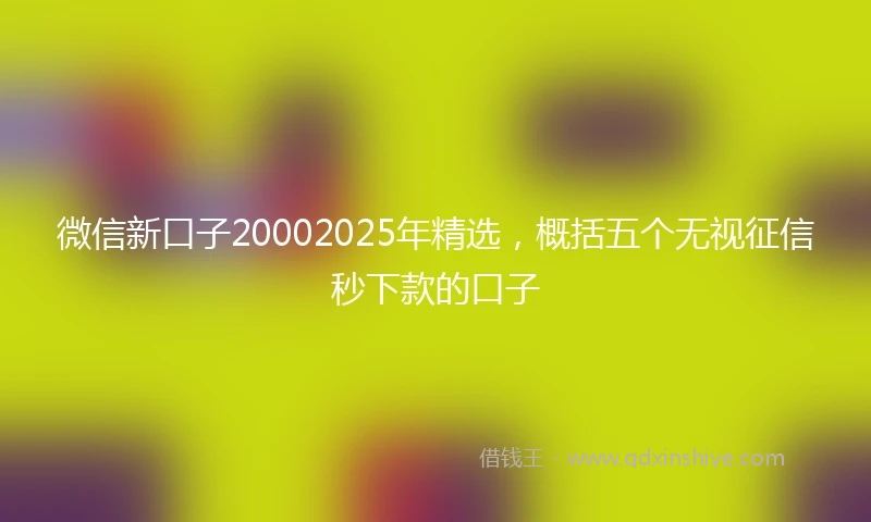 微信新口子20002025年精选，概括五个无视征信秒下款的口子