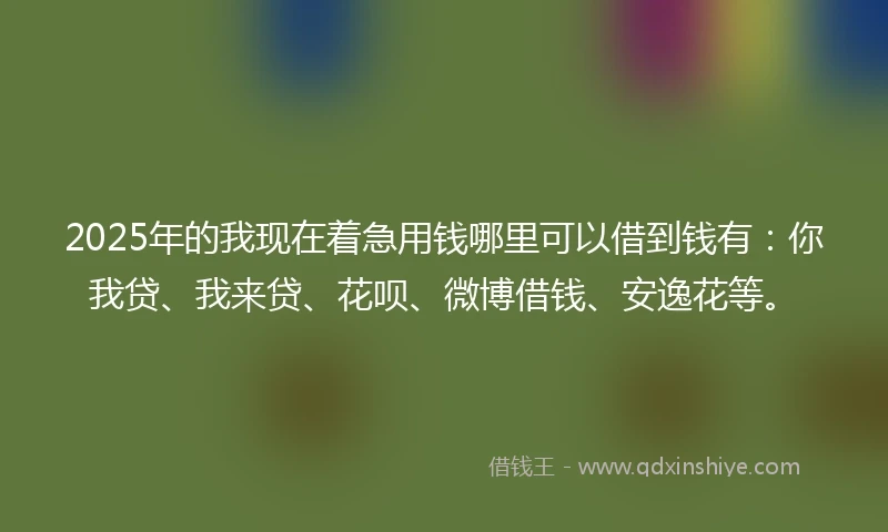 2025年的我现在着急用钱哪里可以借到钱有：你我贷、我来贷、花呗、微博借钱、安逸花等。