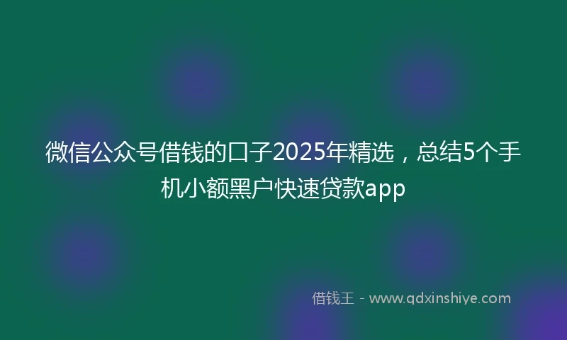 微信公众号借钱的口子2025年精选，总结5个手机小额黑户快速贷款app