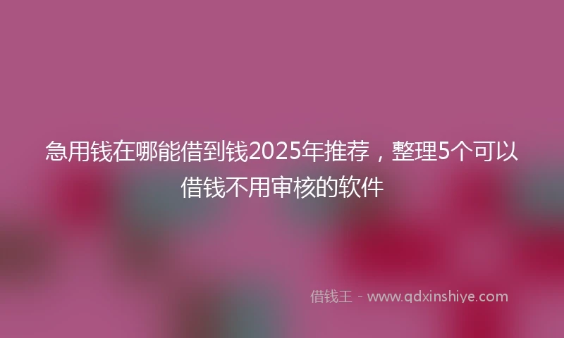 急用钱在哪能借到钱2025年推荐,整理5个可以借钱不用审核的软件