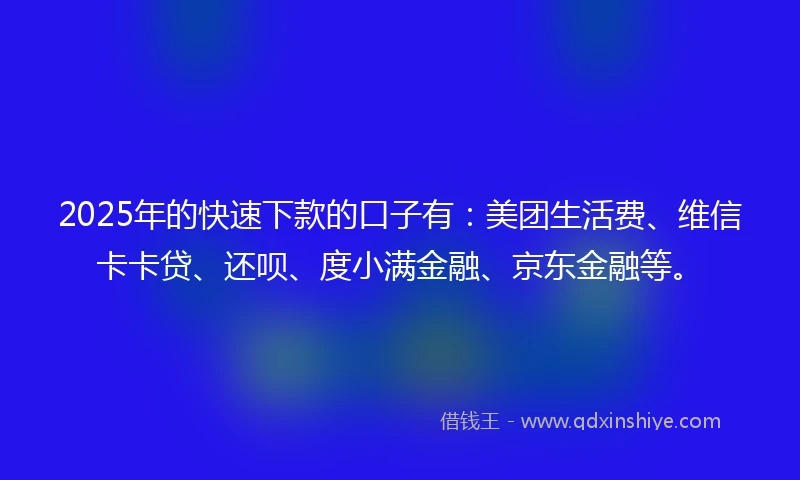 2025年的快速下款的口子有：美团生活费、维信卡卡贷、还呗、度小满金融、京东金融等。