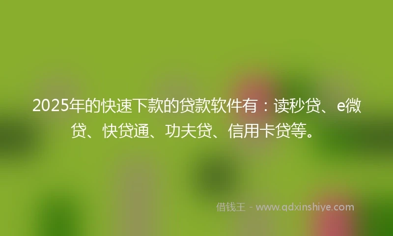2025年的快速下款的贷款软件有：读秒贷、e微贷、快贷通、功夫贷、信用卡贷等。