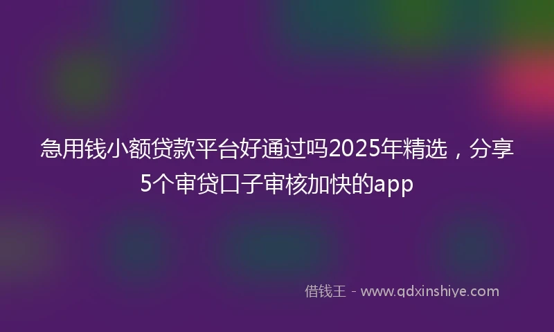 急用钱小额贷款平台好通过吗2025年精选，分享5个审贷口子审核加快的app