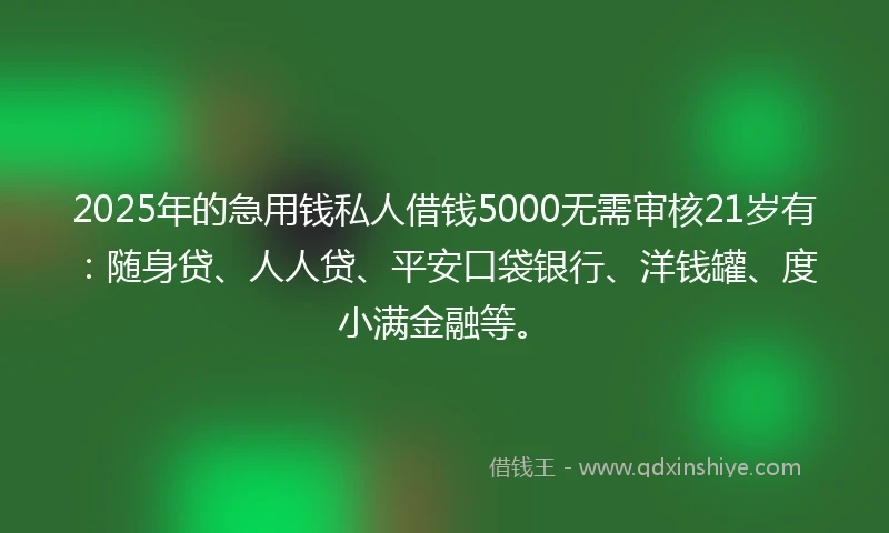 2025年的急用钱私人借钱5000无需审核21岁有：随身贷、人人贷、平安口袋银行、洋钱罐、度小满金融等。