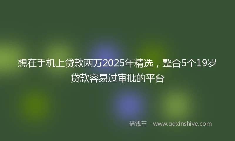 想在手机上贷款两万2025年精选，整合5个19岁贷款容易过审批的平台