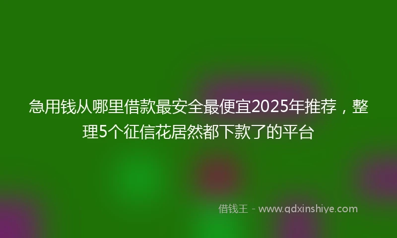 急用钱从哪里借款最安全最便宜2025年推荐,整理5个征信花居然都下款了的平台
