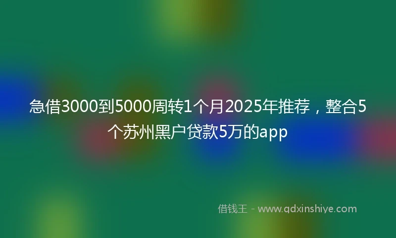 急借3000到5000周转1个月2025年推荐，整合5个苏州黑户贷款5万的app