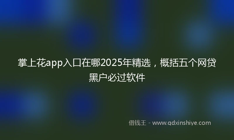掌上花app入口在哪2025年精选，概括五个网贷黑户必过软件