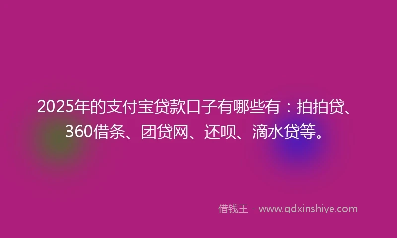 2025年的支付宝贷款口子有哪些有：拍拍贷、360借条、团贷网、还呗、滴水贷等。