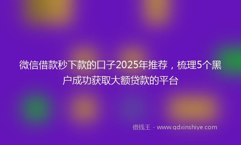微信借款秒下款的口子2025年推荐，梳理5个黑户成功获取大额贷款的平台