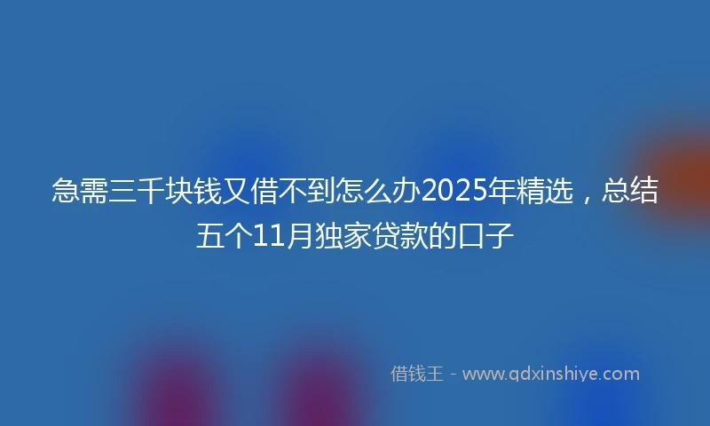 急需三千块钱又借不到怎么办2025年精选，总结五个11月独家贷款的口子