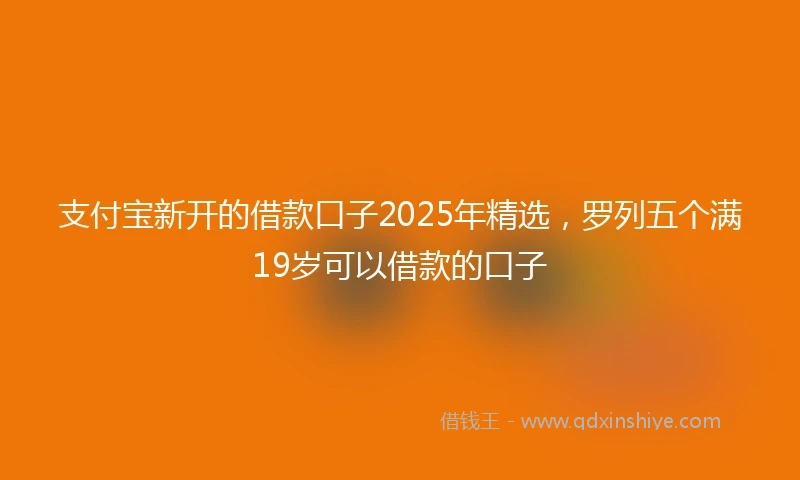 支付宝新开的借款口子2025年精选，罗列五个满19岁可以借款的口子