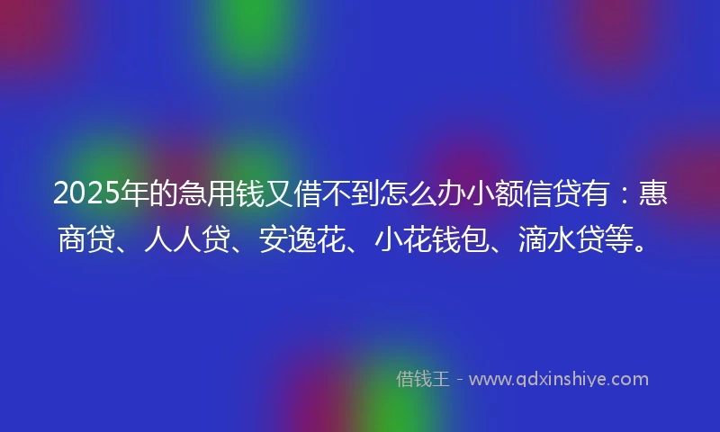 2025年的急用钱又借不到怎么办小额信贷有：惠商贷、人人贷、安逸花、小花钱包、滴水贷等。