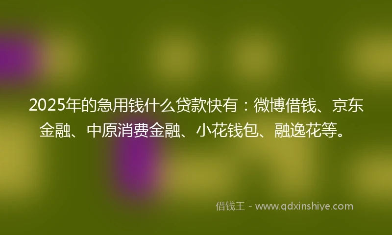 2025年的急用钱什么贷款快有：微博借钱、京东金融、中原消费金融、小花钱包、融逸花等。