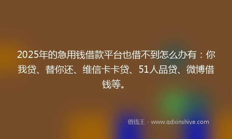 2025年的急用钱借款平台也借不到怎么办有：你我贷、替你还、维信卡卡贷、51人品贷、微博借钱等。