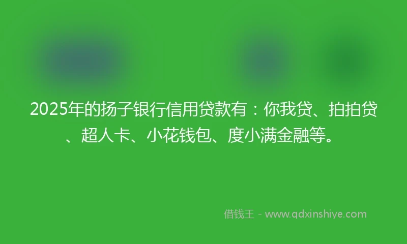 2025年的扬子银行信用贷款有：你我贷、拍拍贷、超人卡、小花钱包、度小满金融等。