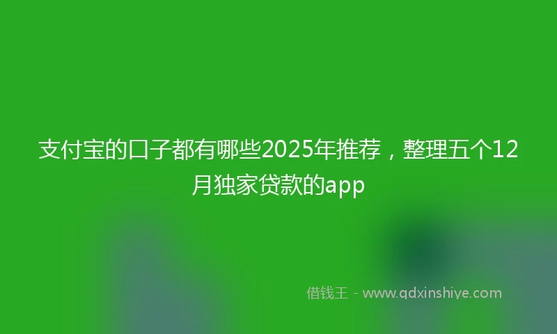 支付宝的口子都有哪些2025年推荐，整理五个12月独家贷款的app