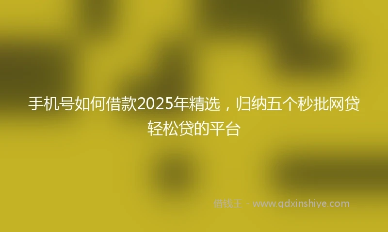 手机号如何借款2025年精选，归纳五个秒批网贷轻松贷的平台
