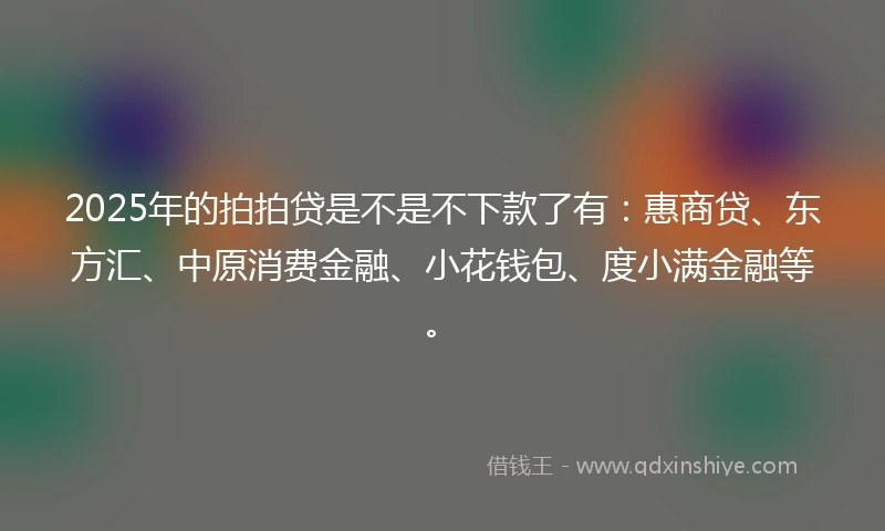 2025年的拍拍贷是不是不下款了有：惠商贷、东方汇、中原消费金融、小花钱包、度小满金融等。