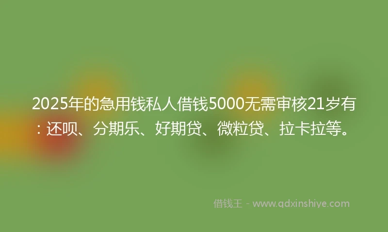 2025年的急用钱私人借钱5000无需审核21岁有：还呗、分期乐、好期贷、微粒贷、拉卡拉等。
