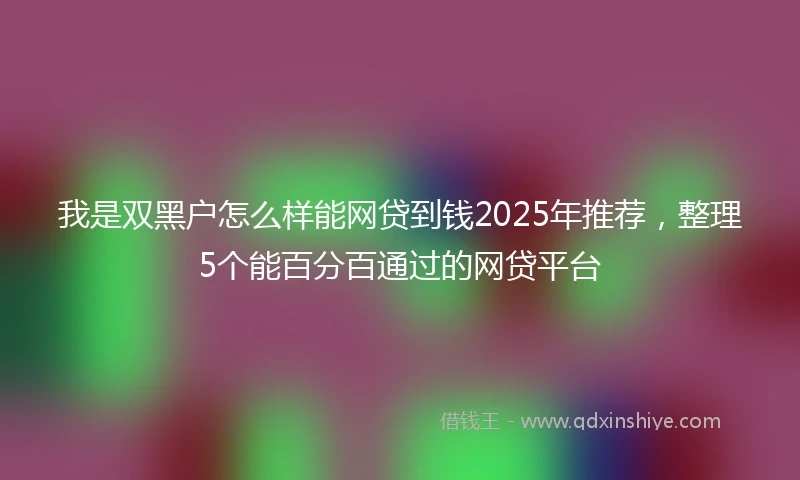 我是双黑户怎么样能网贷到钱2025年推荐，整理5个能百分百通过的网贷平台