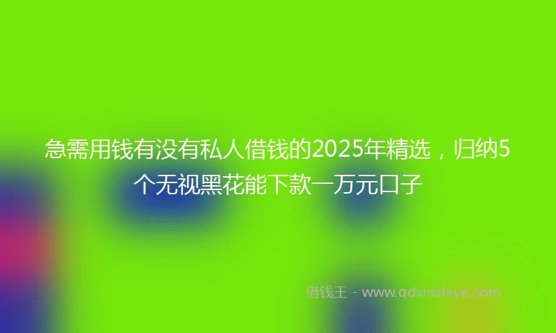急需用钱有没有私人借钱的2025年精选，归纳5个无视黑花能下款一万元口子