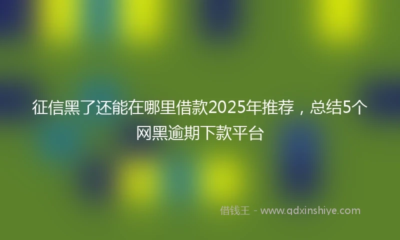 征信黑了还能在哪里借款2025年推荐,总结5个网黑逾期下款平台