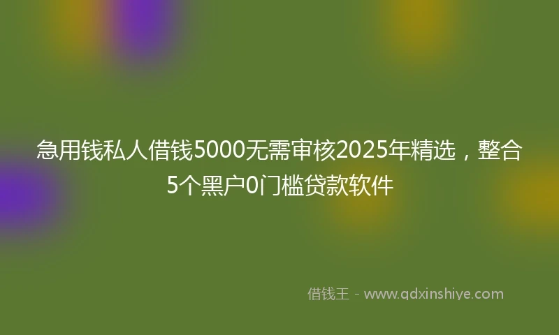 急用钱私人借钱5000无需审核2025年精选，整合5个黑户0门槛贷款软件