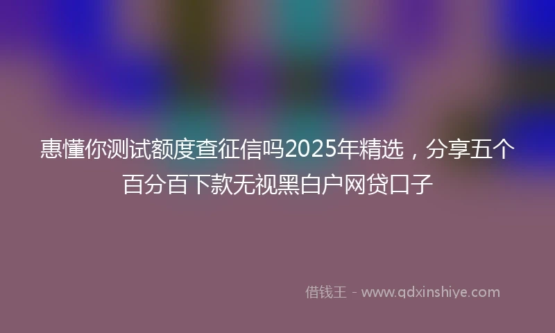 惠懂你测试额度查征信吗2025年精选，分享五个百分百下款无视黑白户网贷口子