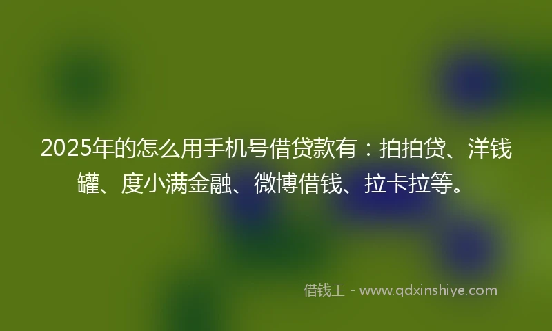 2025年的怎么用手机号借贷款有：拍拍贷、洋钱罐、度小满金融、微博借钱、拉卡拉等。