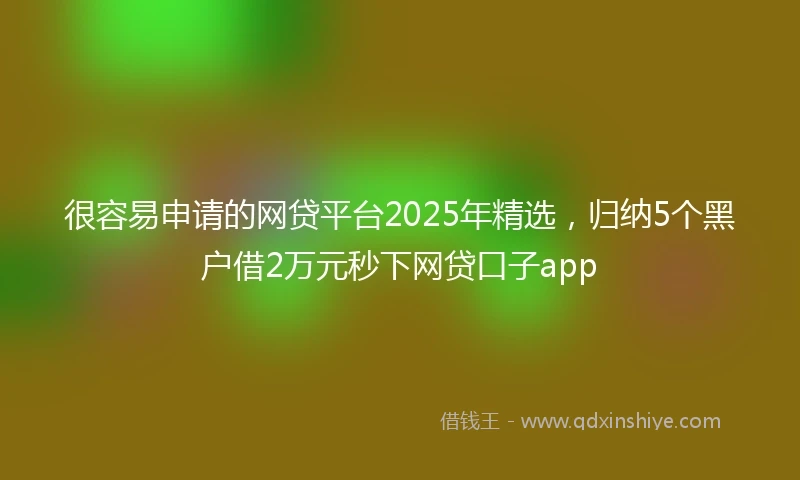 很容易申请的网贷平台2025年精选，归纳5个黑户借2万元秒下网贷口子app