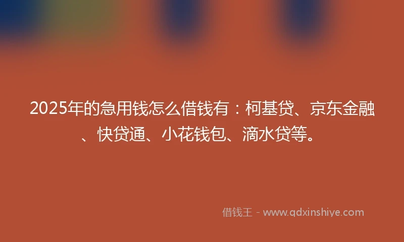 2025年的急用钱怎么借钱有：柯基贷、京东金融、快贷通、小花钱包、滴水贷等。