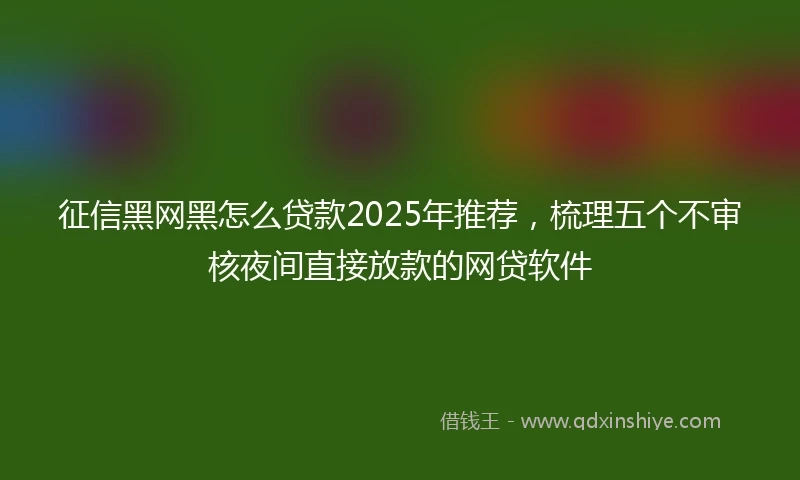 征信黑网黑怎么贷款2025年推荐，梳理五个不审核夜间直接放款的网贷软件