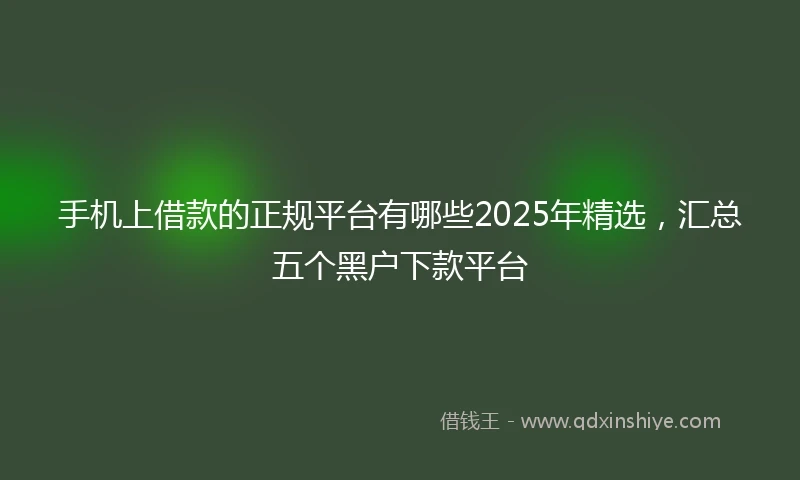 手机上借款的正规平台有哪些2025年精选，汇总五个黑户下款平台