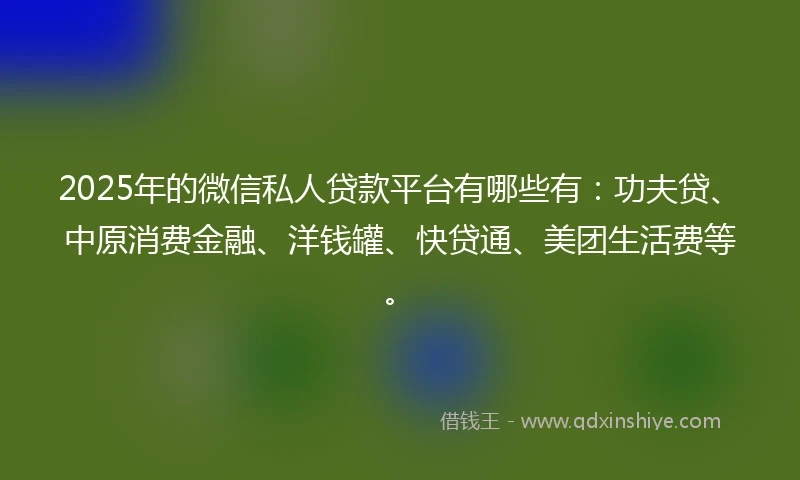 2025年的微信私人贷款平台有哪些有：功夫贷、中原消费金融、洋钱罐、快贷通、美团生活费等。